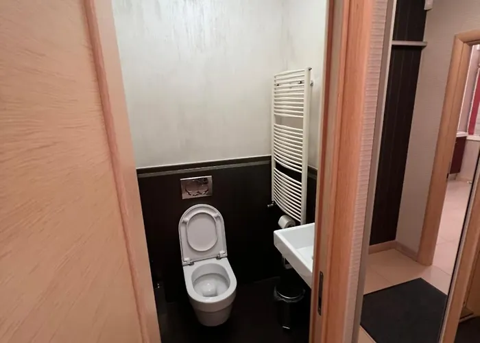 On Arkhipenka With Panorama View * Λβιβ